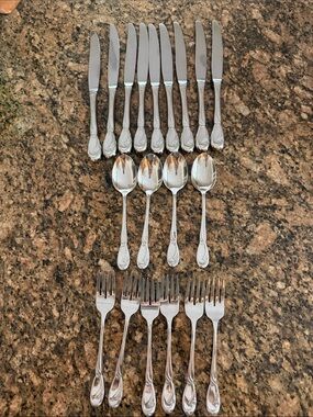 Oneida CallaLily   Stainless Steel Silver Dinner Flatware